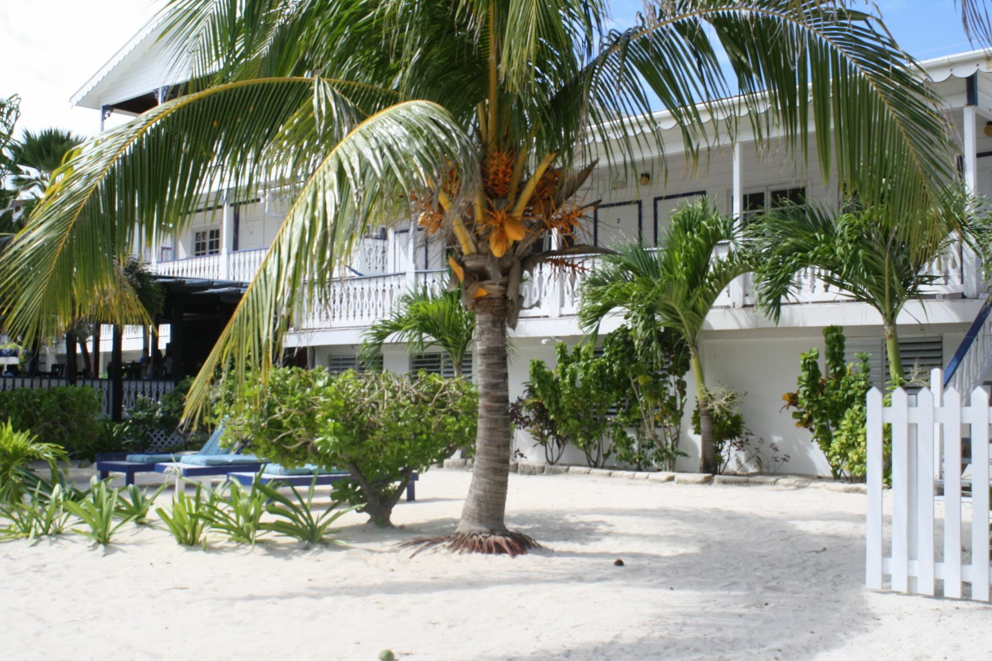 Holiday Hotel San Pedro  Luaran gambar